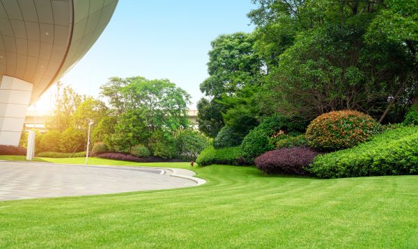 Commercial Shrub Trimming in Portland