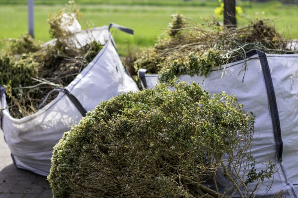 Shrubs Removal in Portland