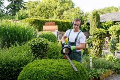 Trimming Bushes Near Walkways