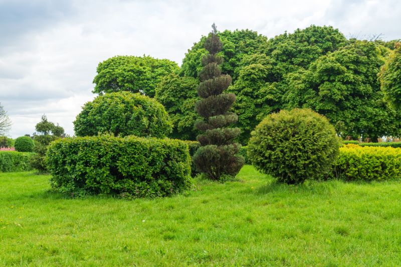 Shrubs with Symmetrical Shapes