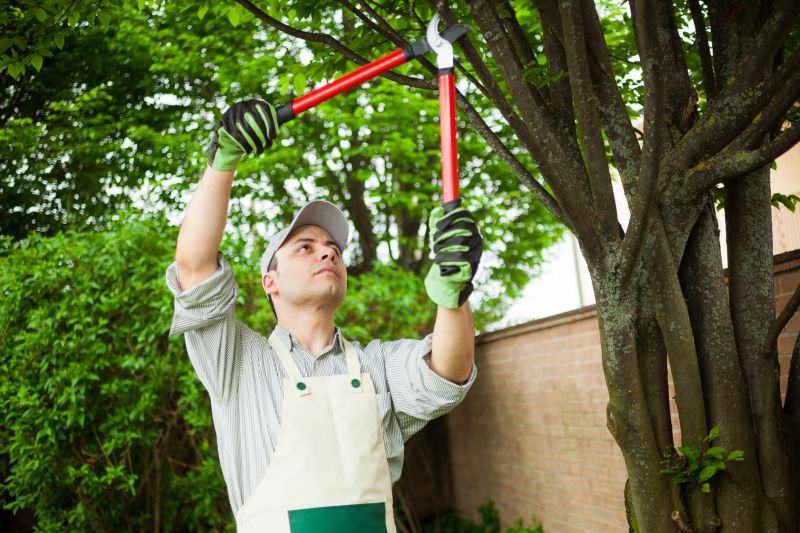 Garden Maintenance Experts
